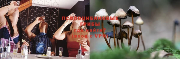 мяу мяу мука Богородицк