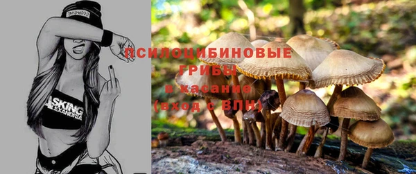 мефедрон Богданович