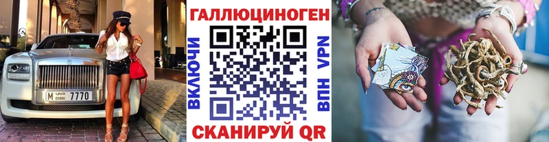 купить закладку  Томилино  блэк спрут зеркало  Галлюциногенные грибы Psilocybine cubensis 